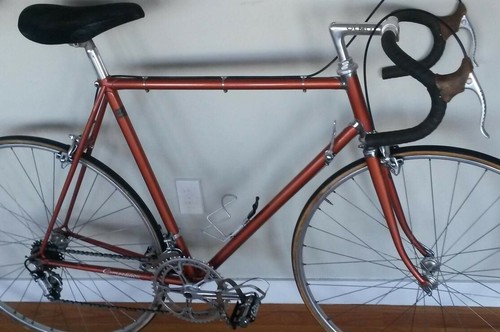 The ultimate eroica bike - "eroica",
